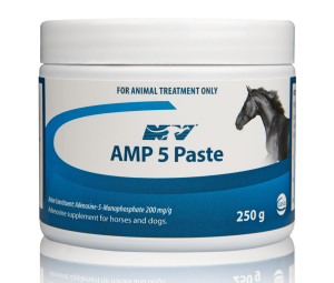 Amp5 Paste
