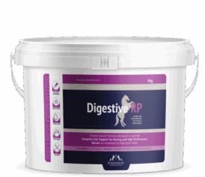 Digestive RP 4 KG