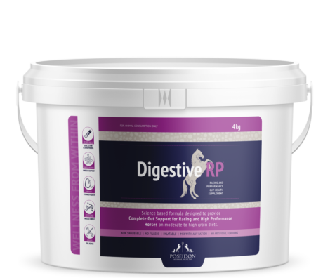 Digestive RP 4 KG