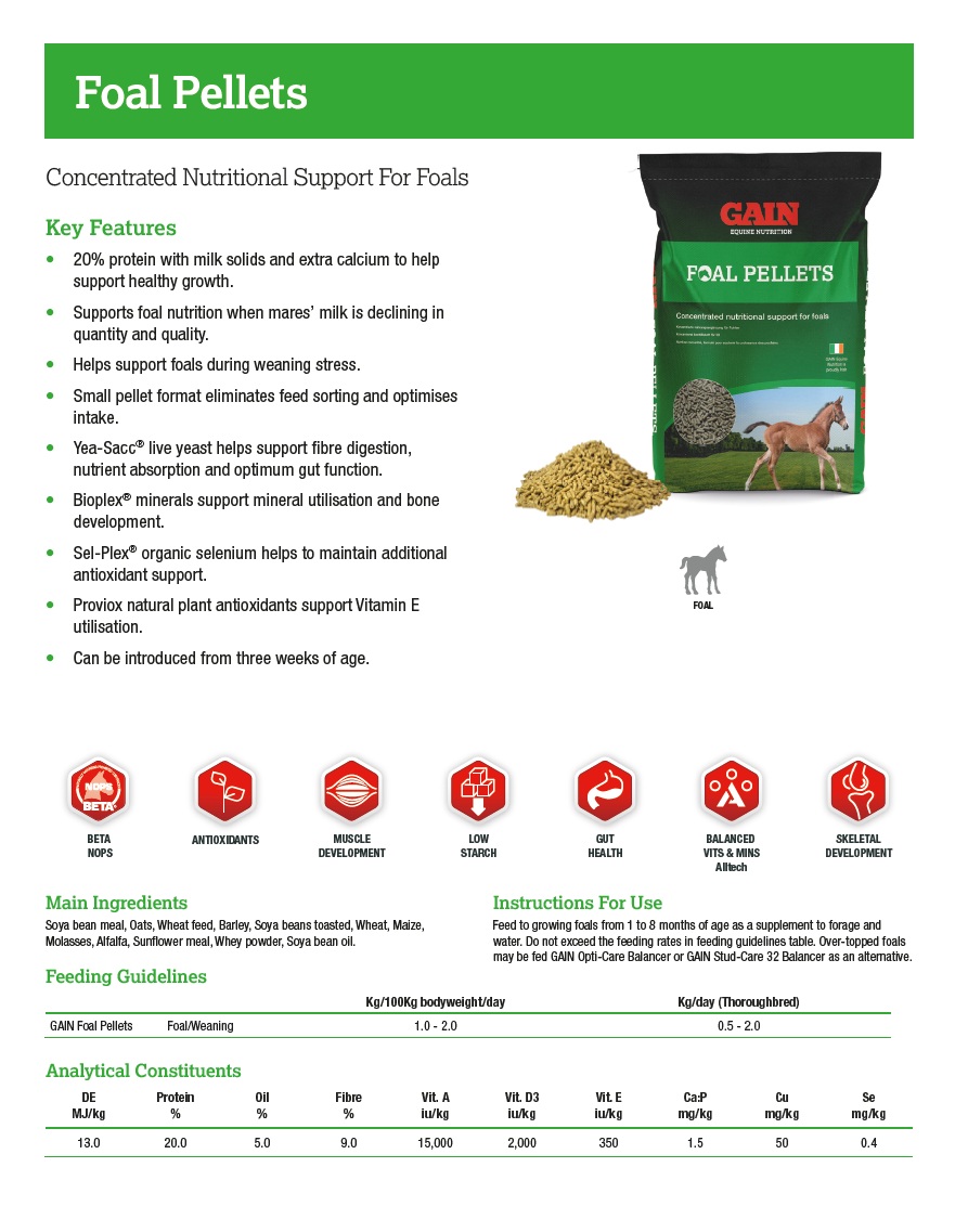 Gain Foal Pellets 25 KG - Image 2