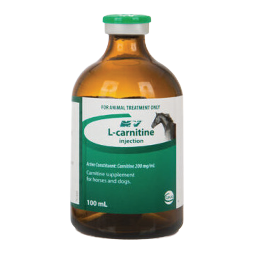 L Carnitine Injection