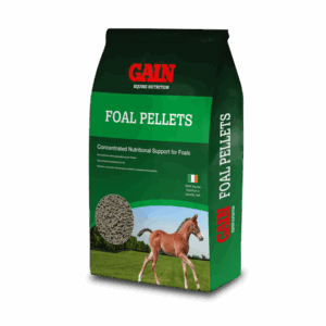 Gain Foal Pellets 25 KG