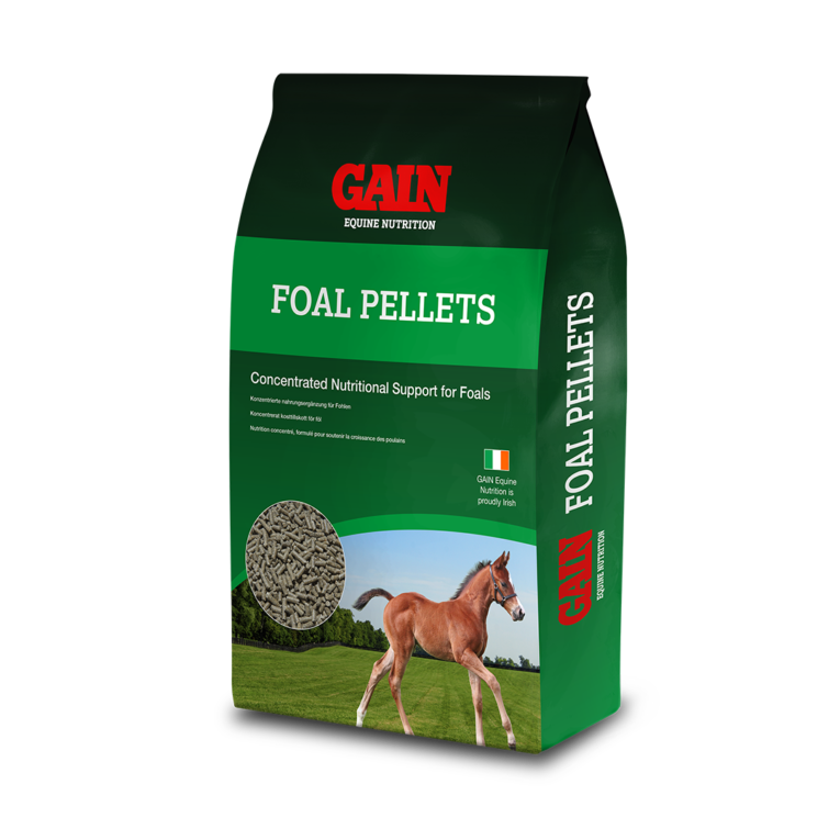Gain Foal Pellets 25 KG