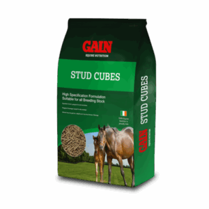 Gain Stud Cubes 25 KG