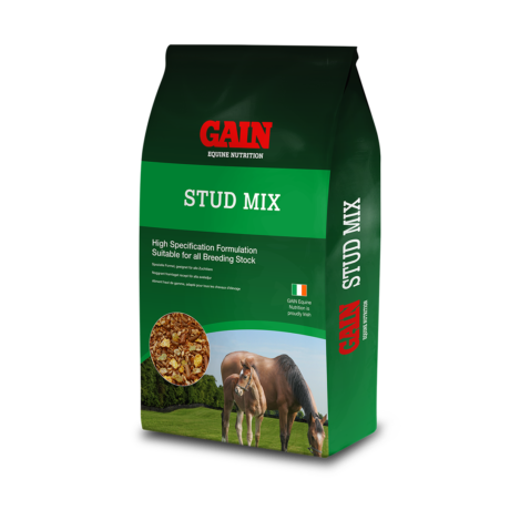 Gain Stud Mix (E) 20 KG