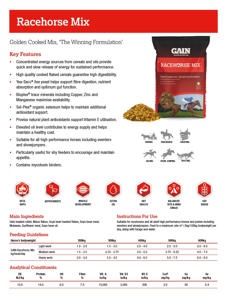 Gain RaceHorse Mix (E) 20 KG - Image 2