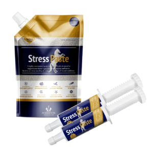 Stress Paste