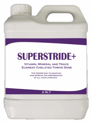 Superstride+ 2.5 LITER