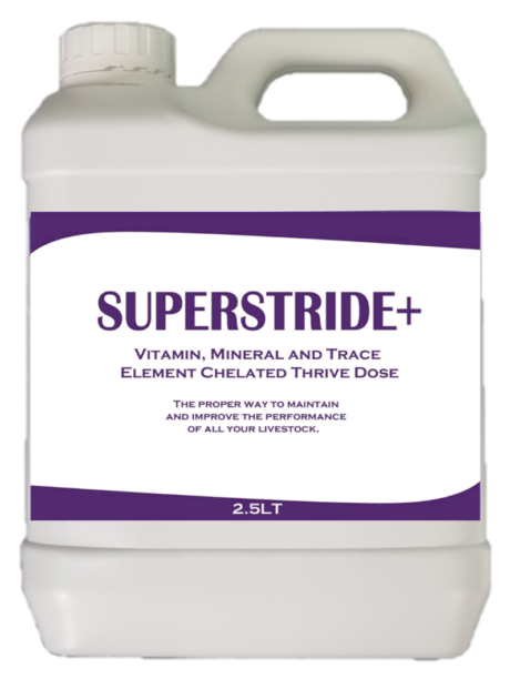 Superstride+ 5 LITER