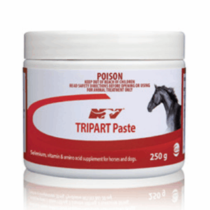 Tripart Paste