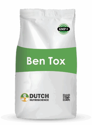 Ben Tox