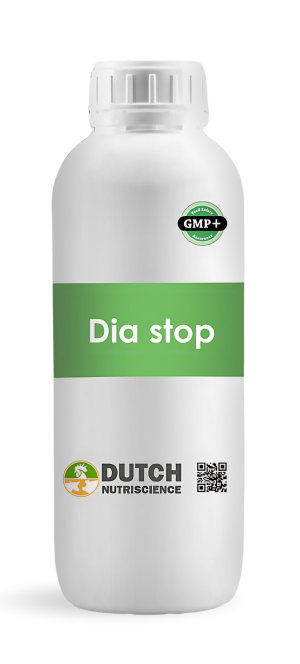 Dia Stop