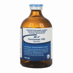Gentamax 100 Injection