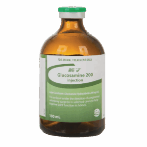 Glucosamine 200 Injection