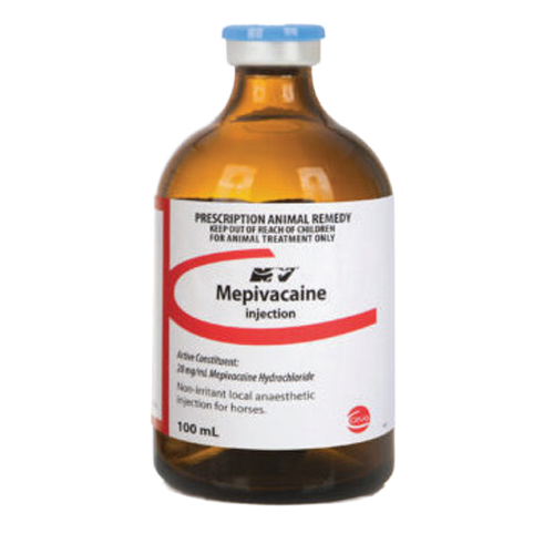 Mepivacaine Injection