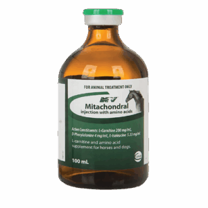 Mitachondral Injection