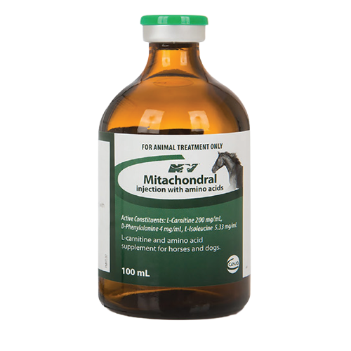 Mitachondral Injection