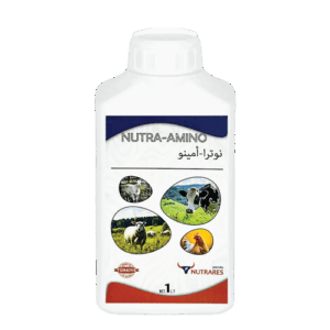 Nutra-Amino