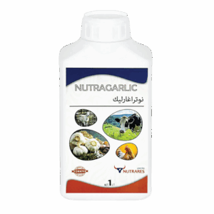 Nutragarlic